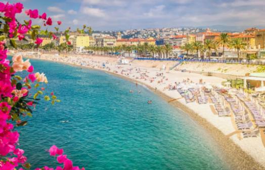Uleiurile de măsline și tapenada: Inima aromelor mediteraneene. Uleiurile de măsline și tapenada: Inima aromelor mediteraneene.