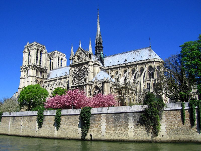 sequence Teacher's day Senator Catedrala Notre-Dame Paris – Turist in Europa